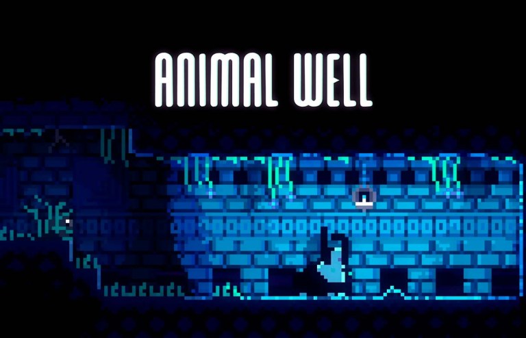 Animal Well Bunnies
