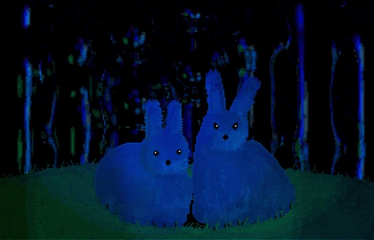 screen_rabbits
