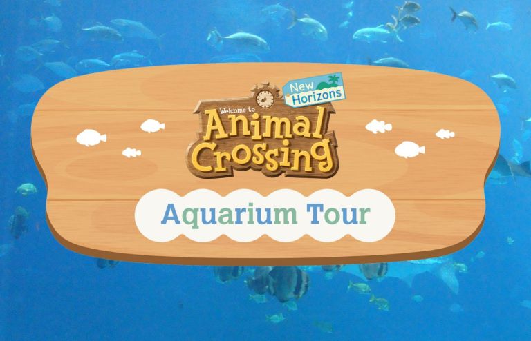 Animal Crossing Aquarium Tour
