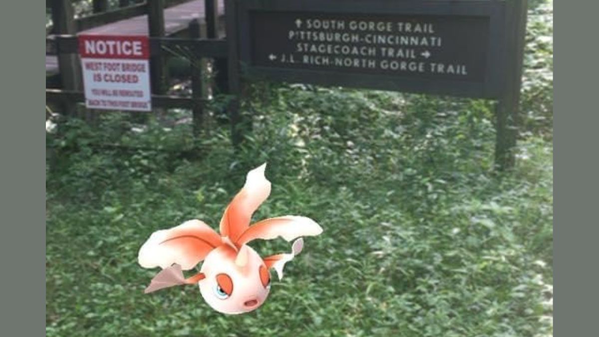 Goldeen in Cincinnati Pokemon GO 2016