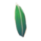 Aqua Fern Garden Witch Life