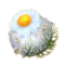 Chamomile Bath Bomb Garden Witch Life