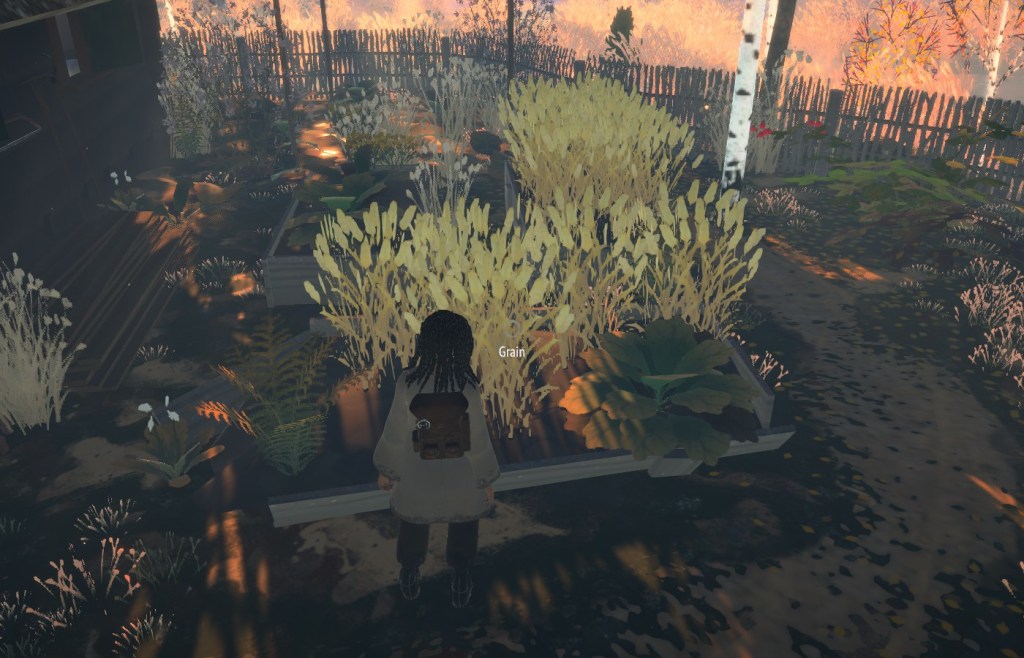 Grain REKA