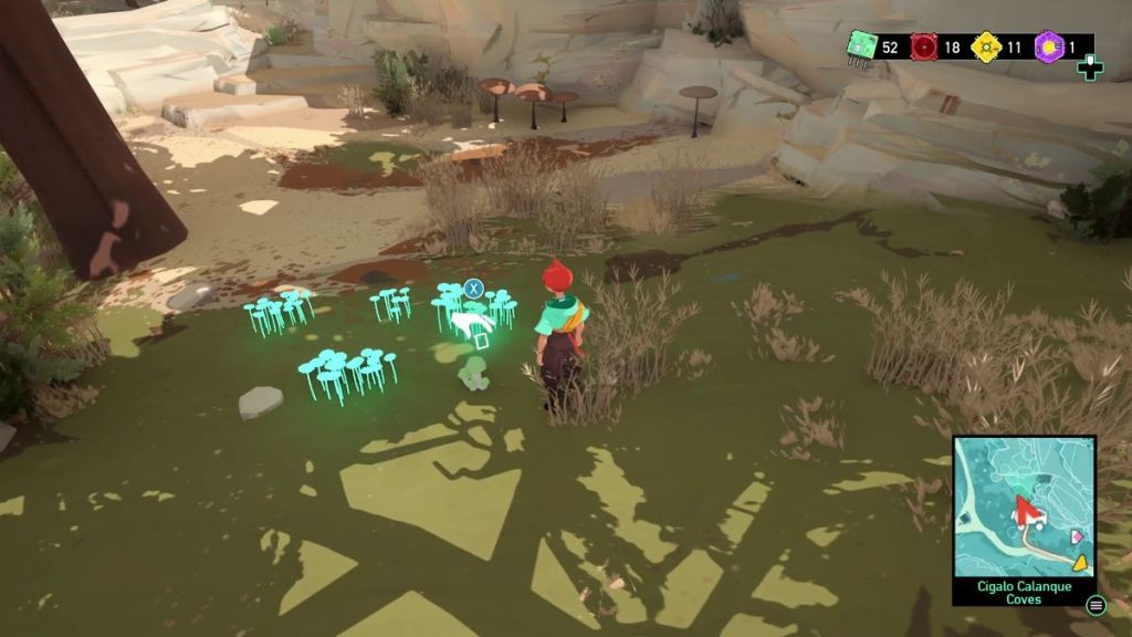Looking for glowing mushrooms to find the required mushroom