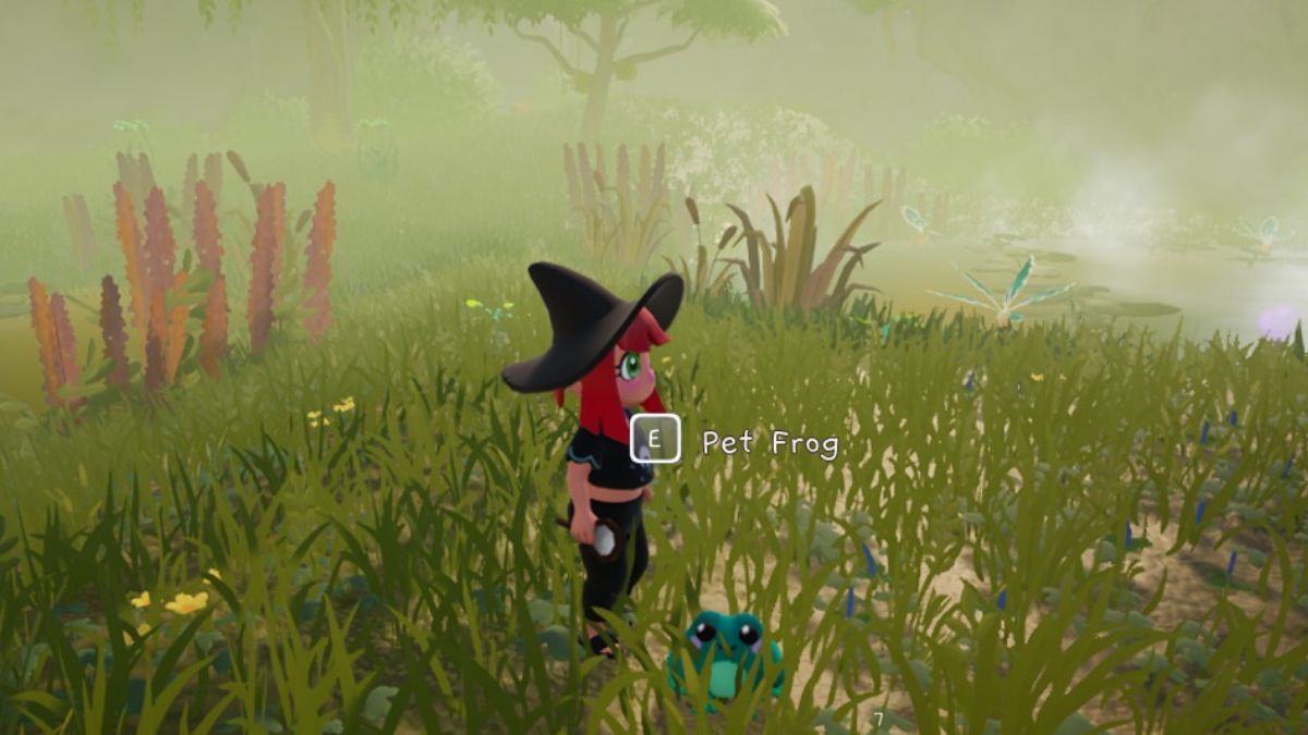 Pet the Frog Garden Witch Life