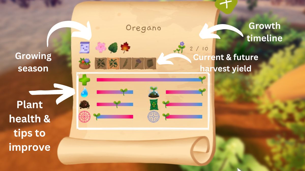 Plant Inspection Overview Garden Witch Life