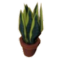 Potted Snake Plant Garden Witch Life