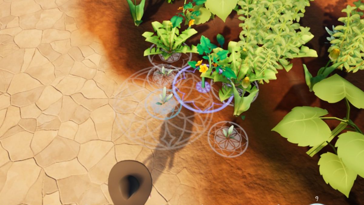 Purple Companion Plant Circle Garden Witch Life