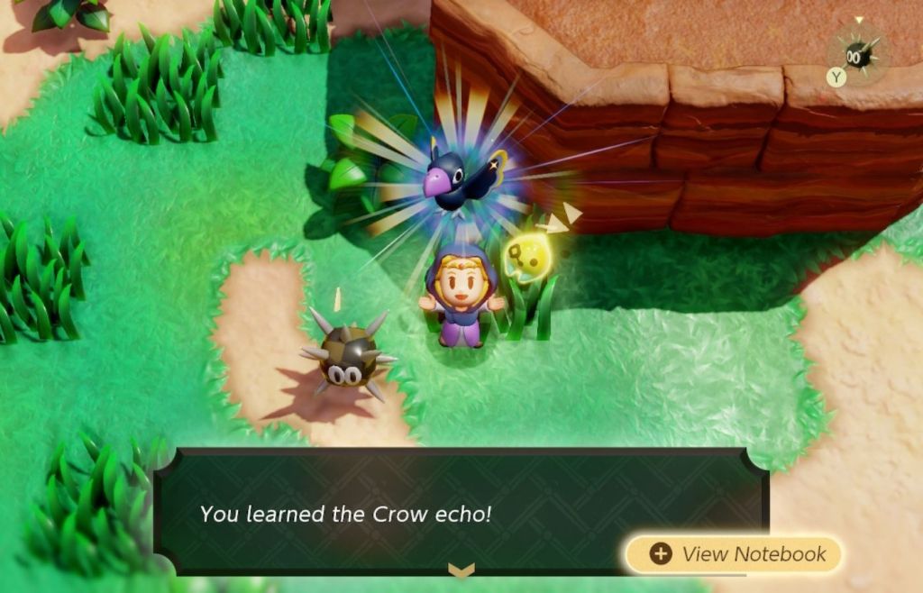 Echoes_of_Wisdom_learncrow