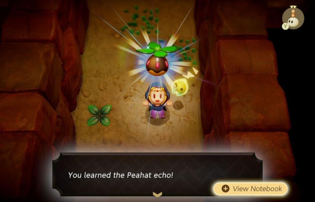 Echoes_of_Wisdom_learnpeahat
