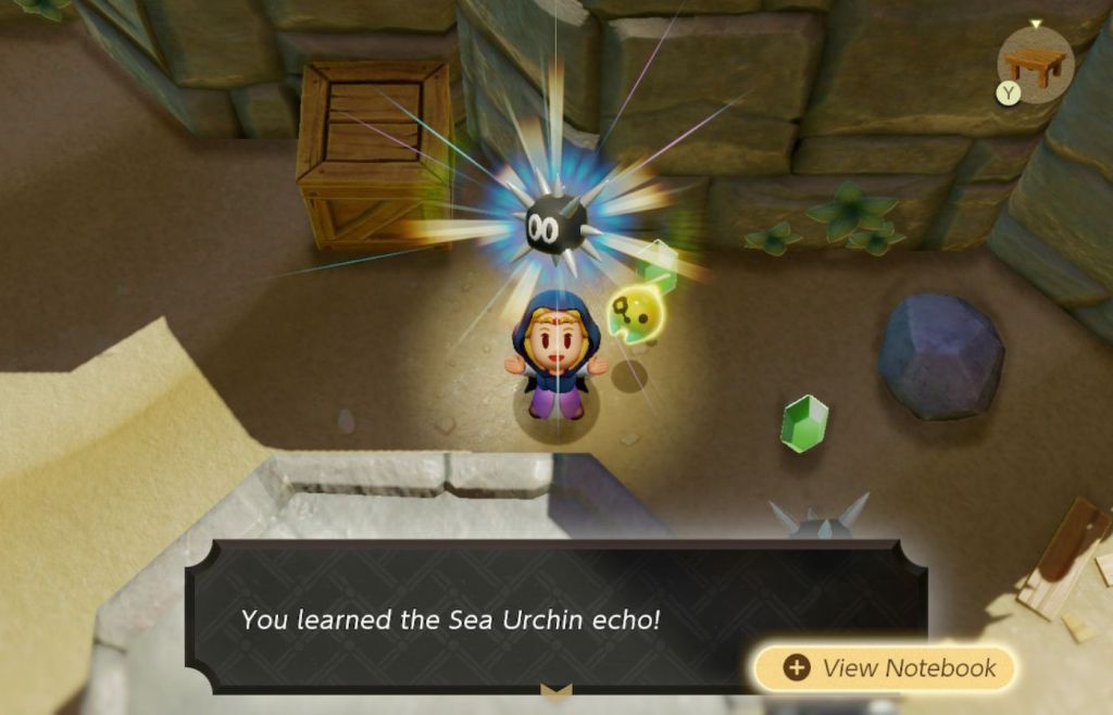 Echoes_of_Wisdom_learnseaurchin