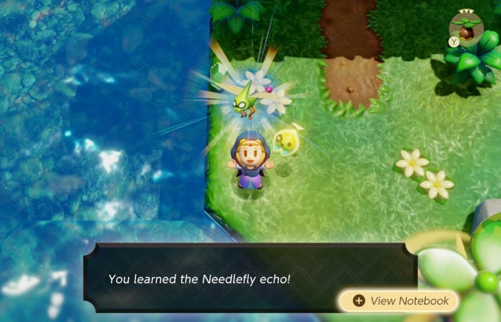Echoes_of_Wisdom_needleflyget