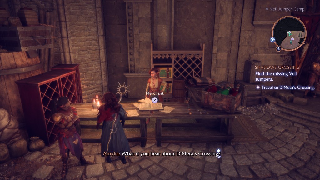 Dragon Age Veilgaurd Shops