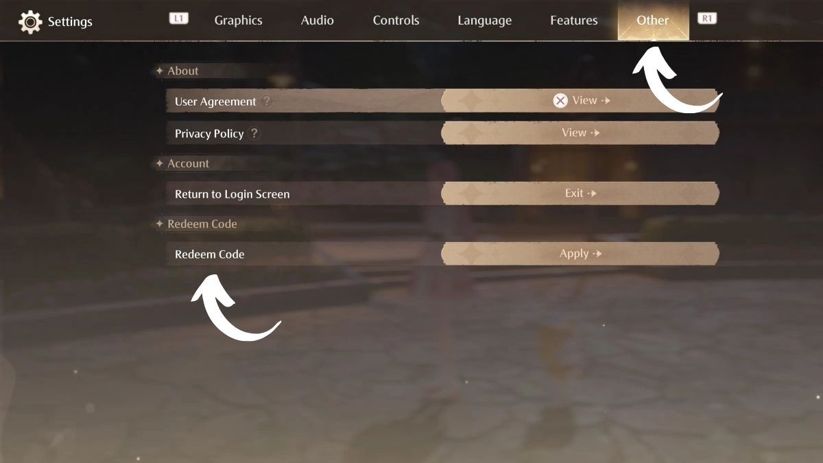 How to Redeem Codes Infinity Nikki PS5