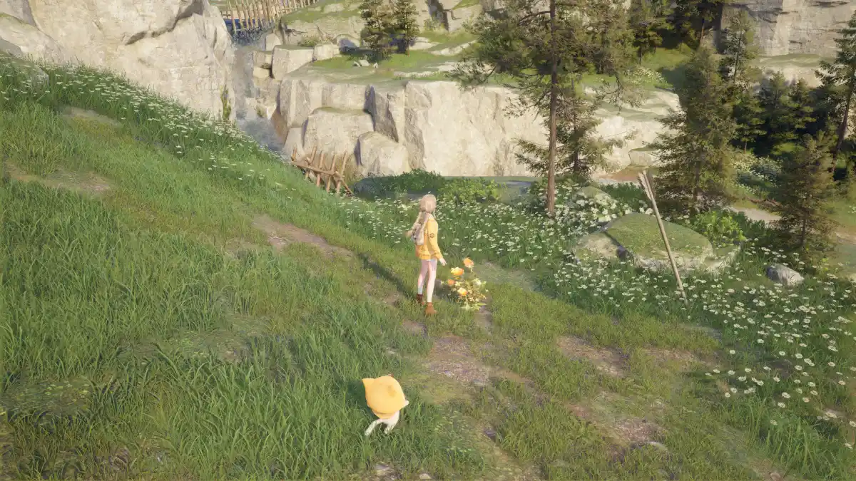 Nikki animals and flowers