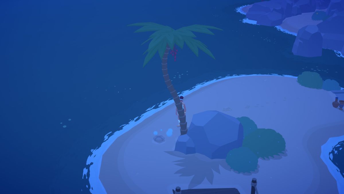 Poseidon's memento near Western Beach, falling out of a palm tree