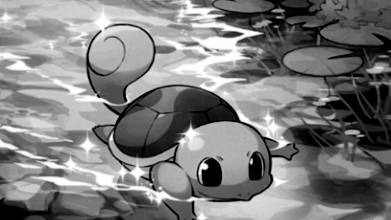 Squirtle art in Pokemon TCG Pocket