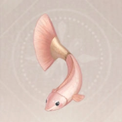 BrusherFish Infinity Nikki