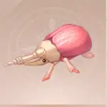 Mani Beetle