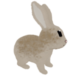 Chip in Cinnabunny