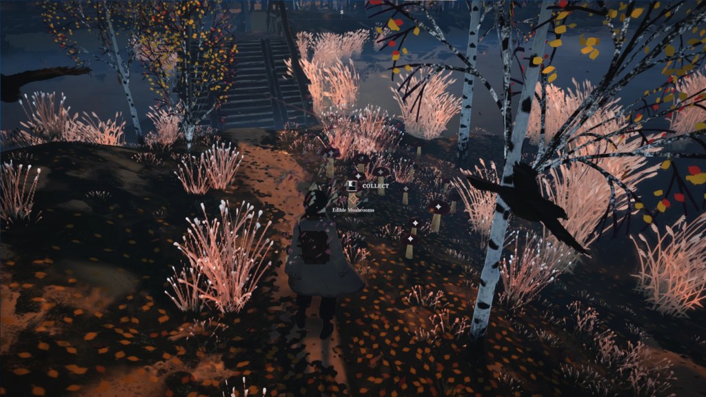 Updated mushrooms REKA