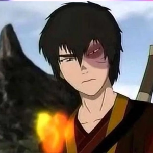 Prince Zuko Avatar The Last Airbender Video Games