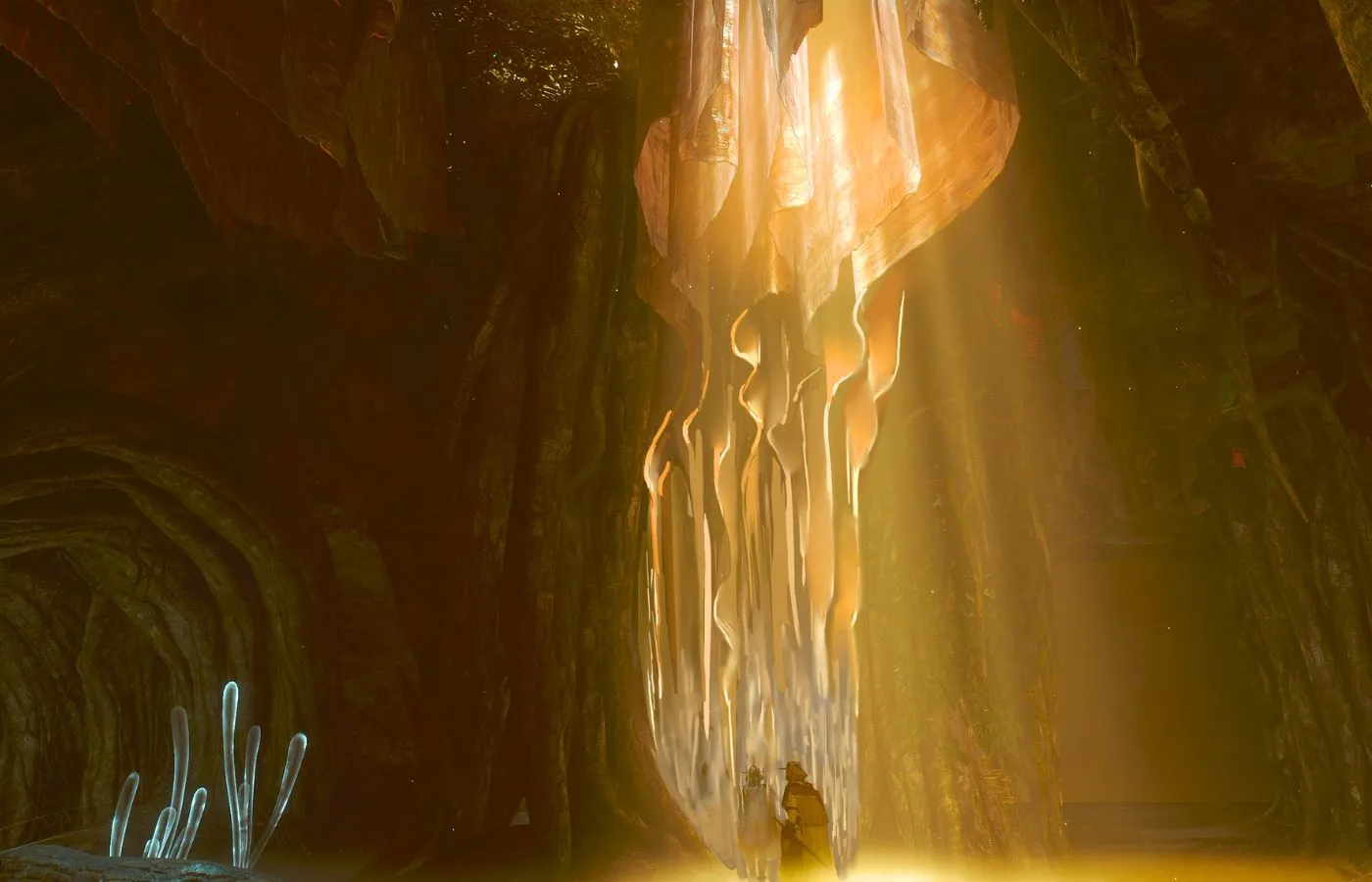 soulframe forest coral