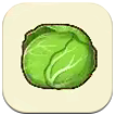 Cabbage SoS Grand Bazaar