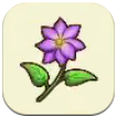 Clematis SoS Grand Bazaar