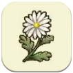 Daisy SoS Grand Bazaar
