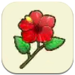 Hibiscus SoS Grand Bazaar