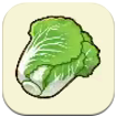 Napa Cabbage SoS Grand Bazaar