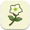 Petunia SoS Grand Bazaar