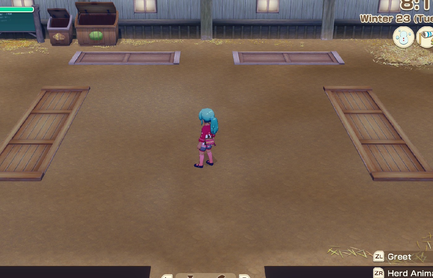 Story of Seasons Grand Bazaar Inside Second Barn