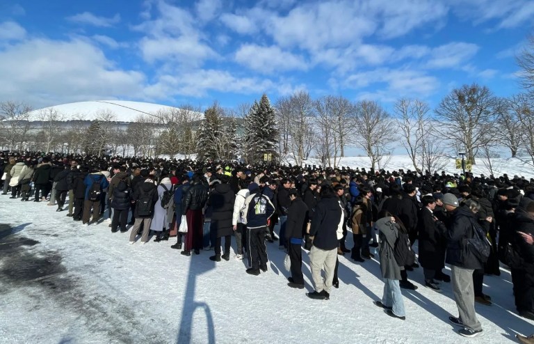 algs crowd