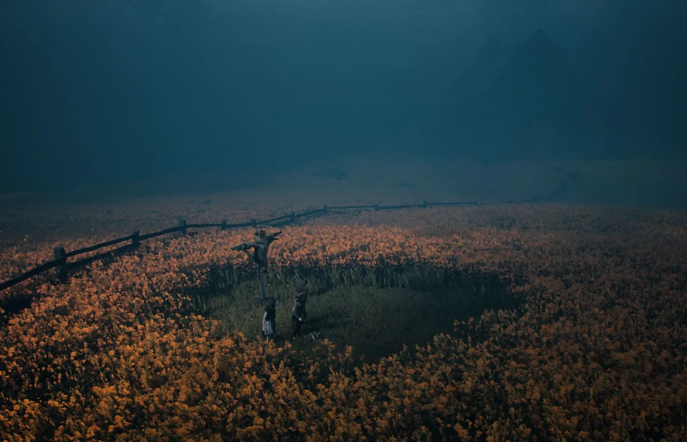reaniaml scarecrow