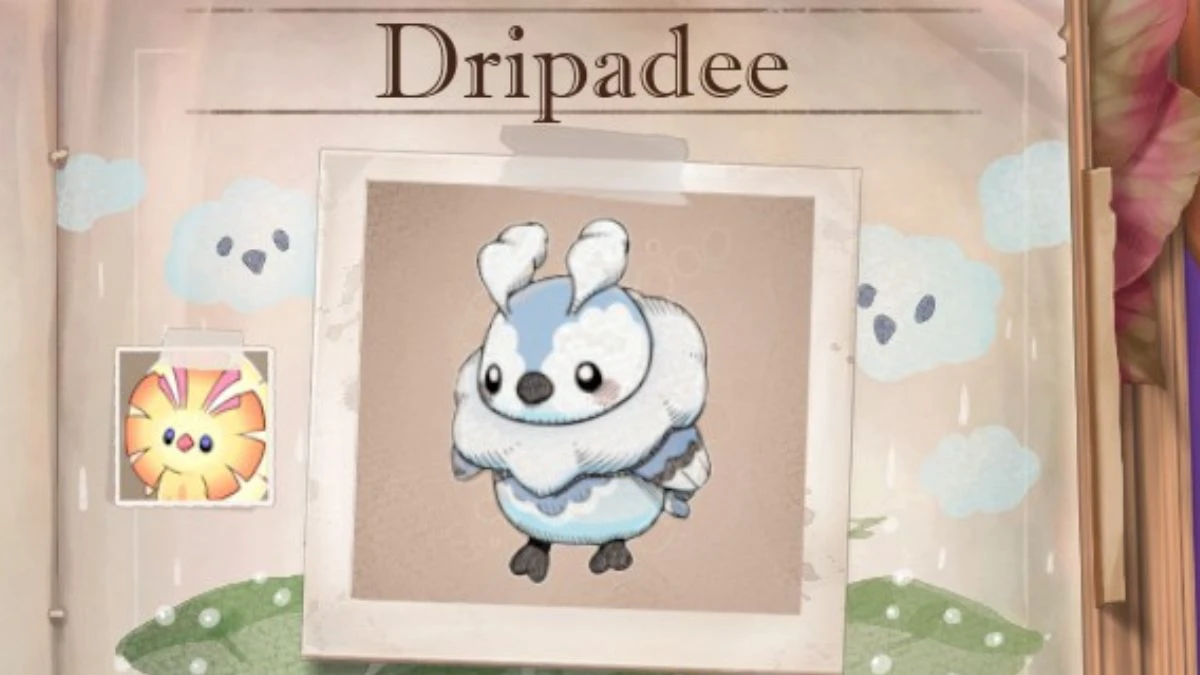 Dripadee Spirit City