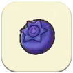 Blueberry SoS Grand Bazaar