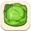Giant Cabbage SoS Grand Bazaar