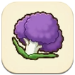 Purple Cauliflower SoS Grand Bazaar