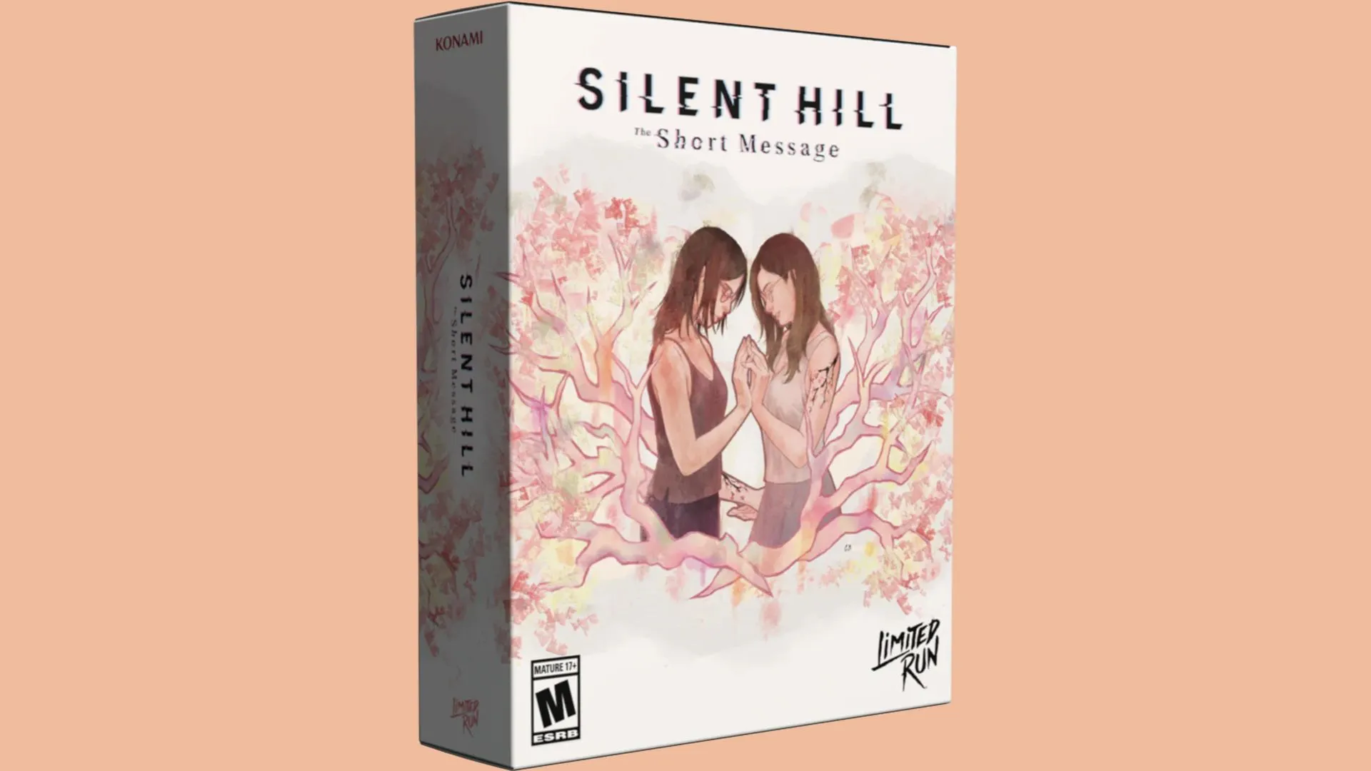 Silent Hill's Most Relatable Entry Is Getting A Physical Release