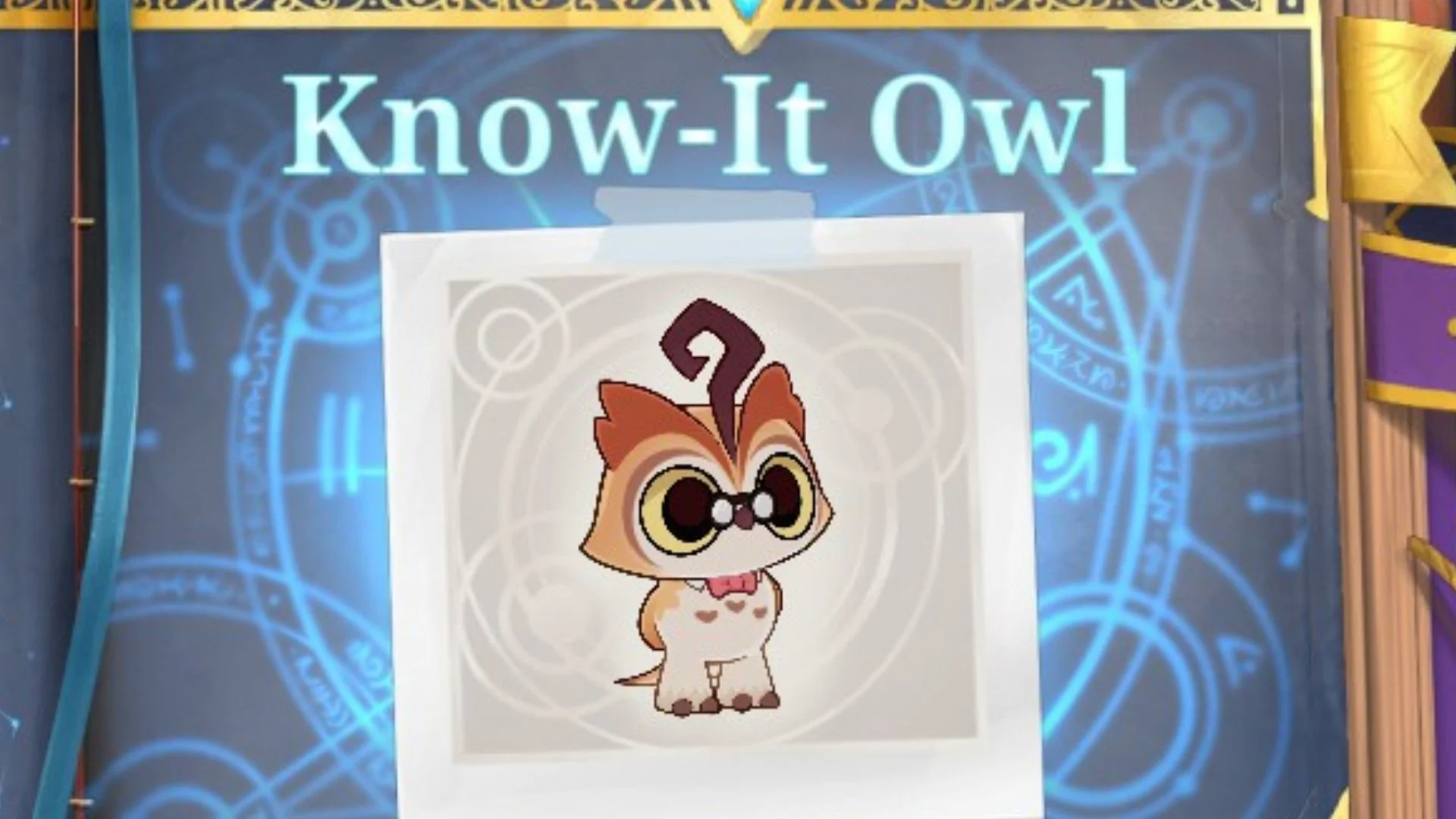Know-It Owl Spirit City