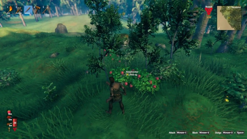 Valheim Early Food Source Raspberries