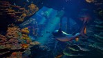 maneater 2 swimming shark