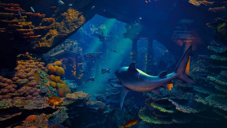 maneater 2 swimming shark