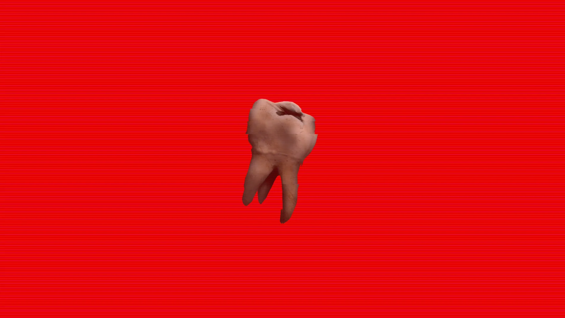 Mended Tooth memento