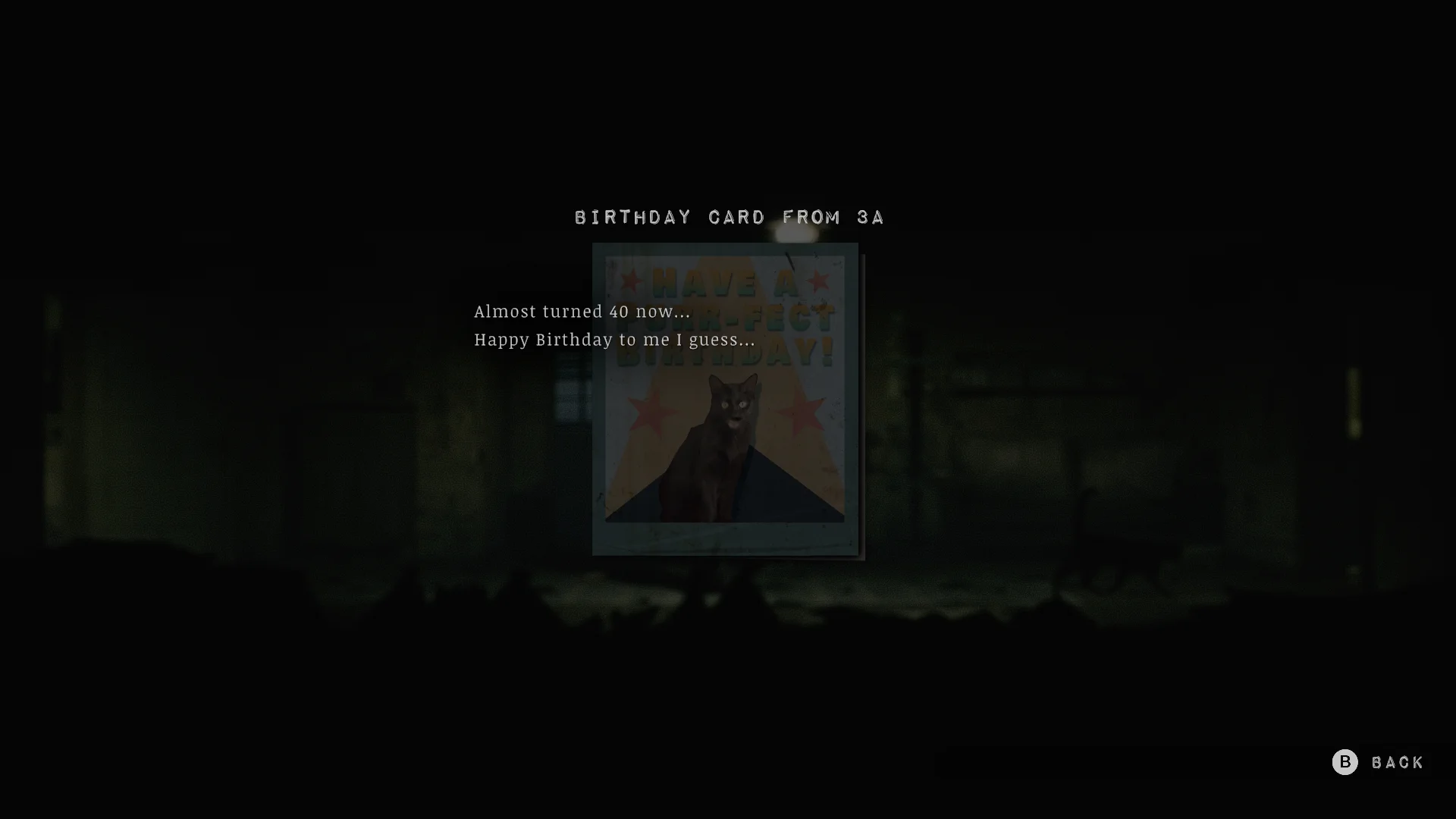 Birthday card in 3A, the cat lady's room