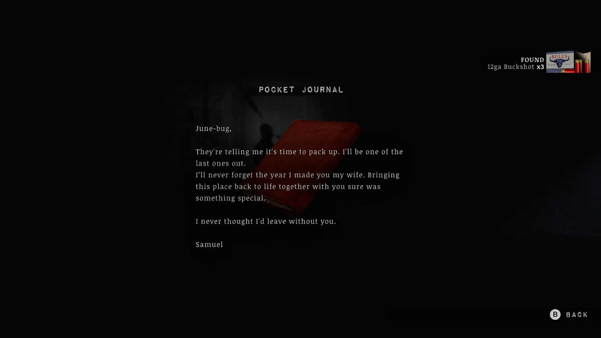 Samuel's pocket journal to June
