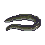 Eel icon Probably Stolen