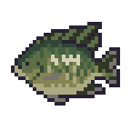 Gutter Tilapia icon Probably Stolen